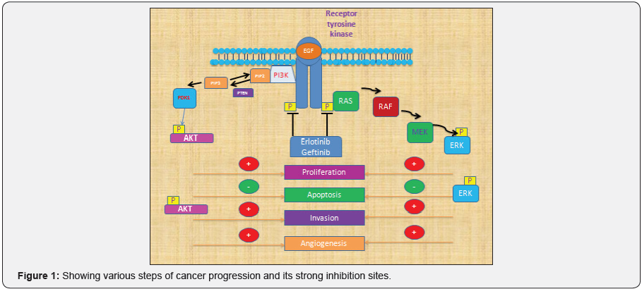 Click here to view Large Figure 1