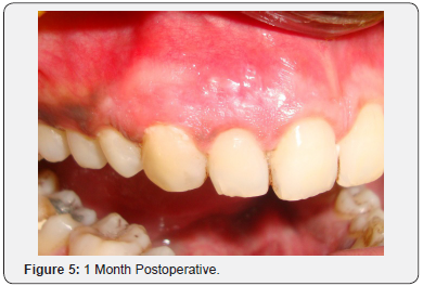 Click here to view Large Figure 5