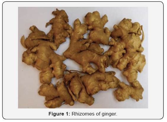 Click here to view Large Figure 1