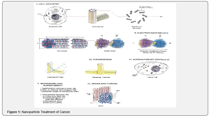 Click here to view Large Figure 1