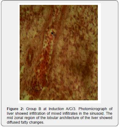 Click here to view Large Figure 2