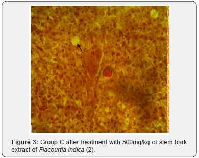 Click here to view Large Figure 3