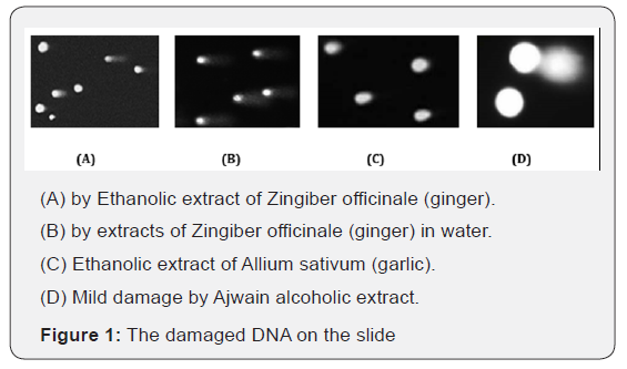 Click here to view Large Figure 1