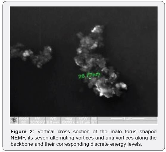 Click here to view Large Figure 2