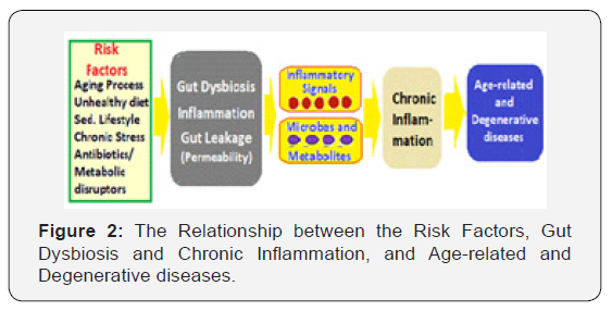 Click here to view Large Figure 2
