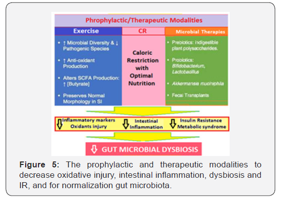 Click here to view Large Figure 5