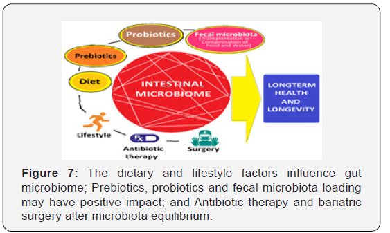 Click here to view Large Figure 7