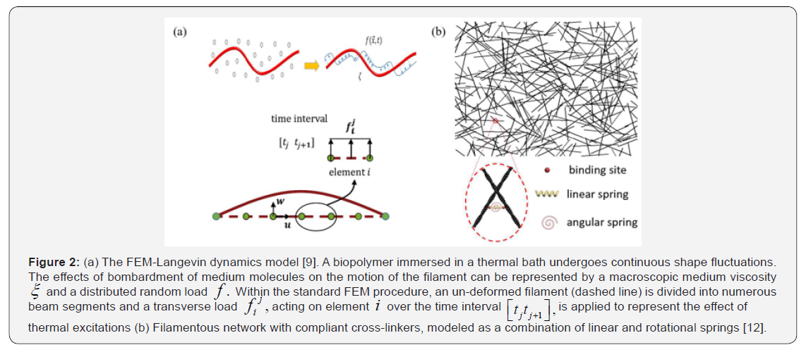 Click here to view Large Figure 2
