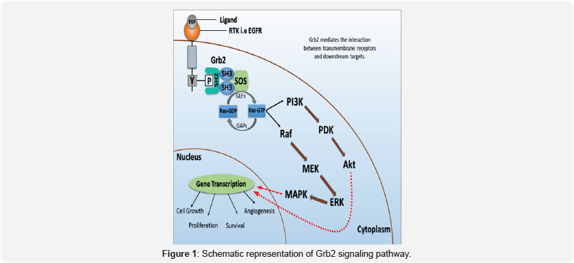 Click here to view Large Figure 1