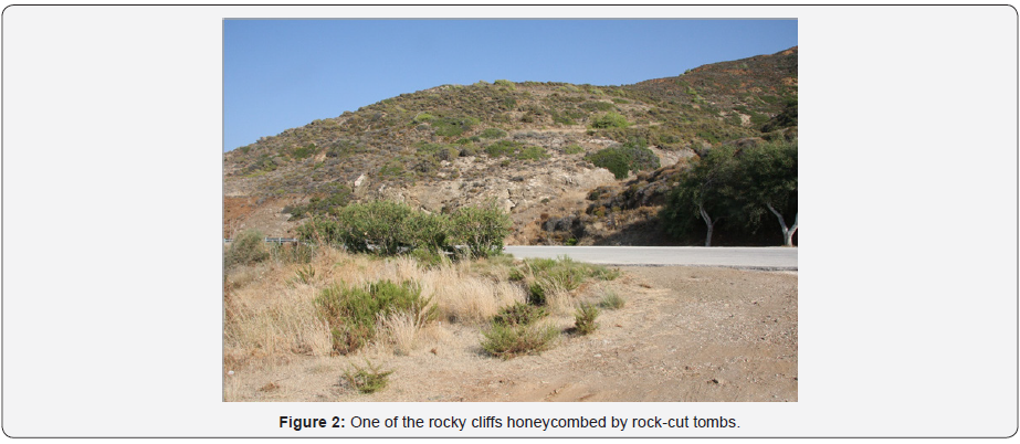 Click here to view Large Figure 2