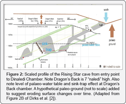 Click here to view Large Figure 2