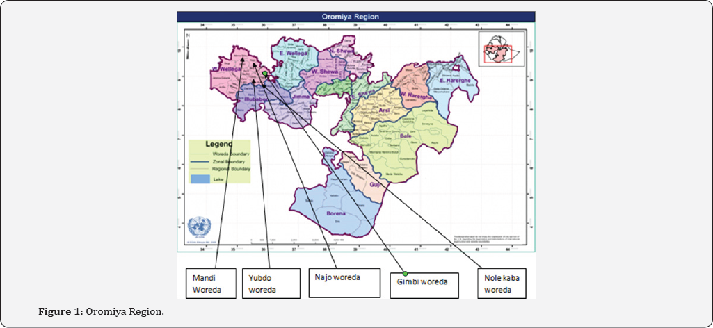 Click here to view Large Figure 1