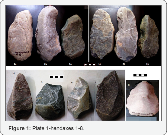 Click here to view Large Figure 1