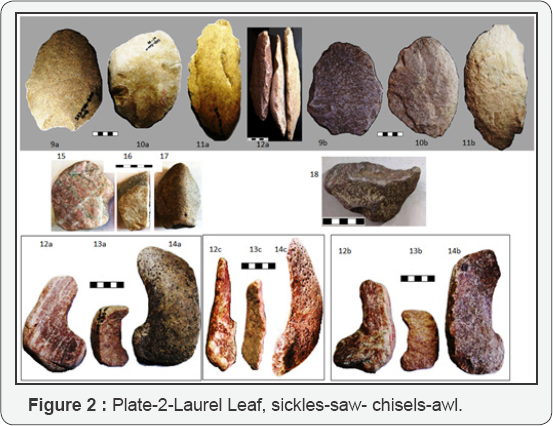 Click here to view Large Figure 1