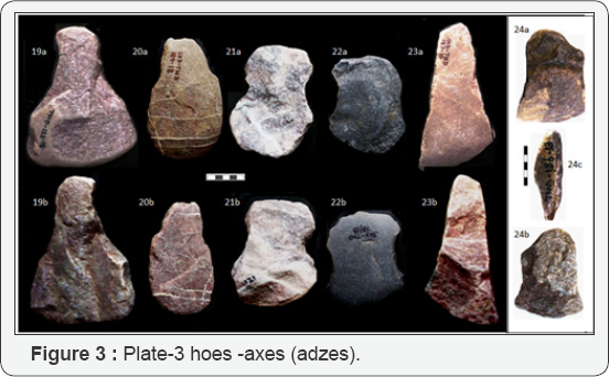 Click here to view Large Figure 1