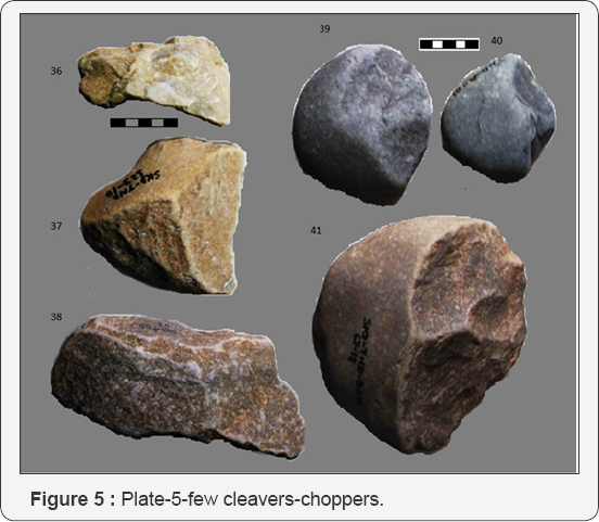 Click here to view Large Figure 1