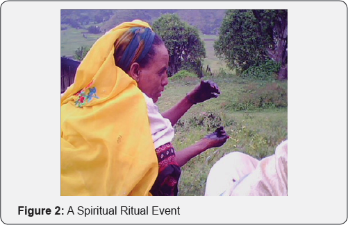 Click here to view Large Figure 2