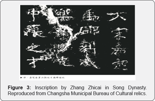 Click here to view Large Figure 3