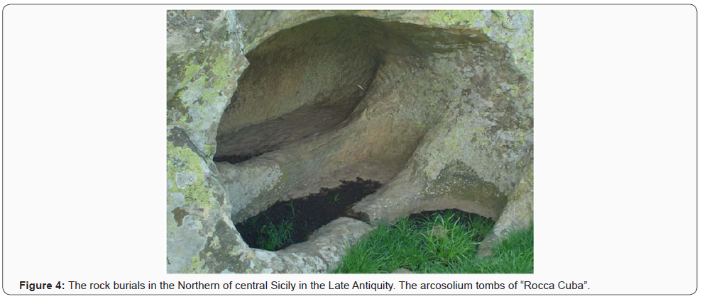 Click here to view Large Figure 4