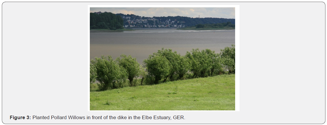 Click here to view Large Figure 3