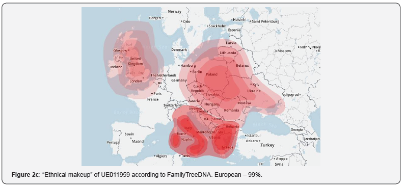 Click here to view Large Figure 2c