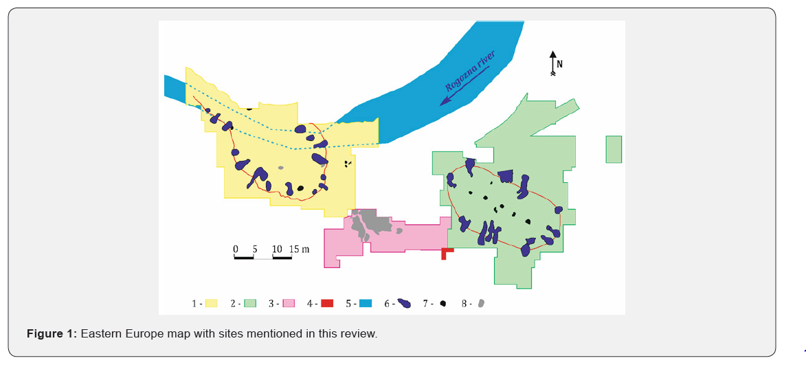 Click here to view Large Figure 1