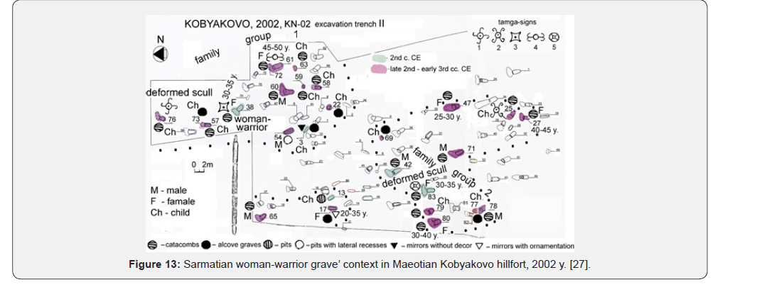 Click here to view Large Figure 13