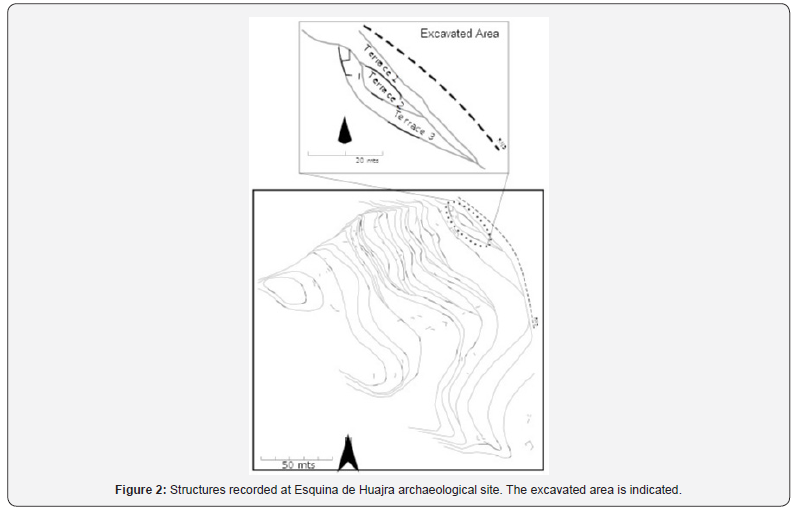 Click here to view Large Figure 2