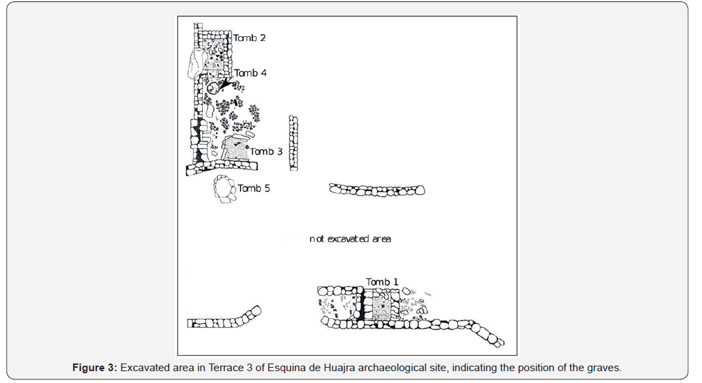 Click here to view Large Figure 3