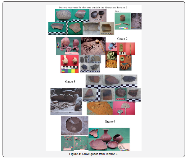 Click here to view Large Figure 4