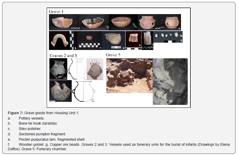Click here to view Large Figure 7