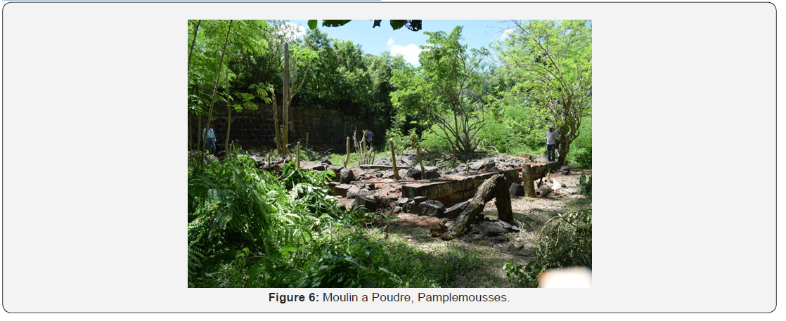 Click here to view Large Figure 6