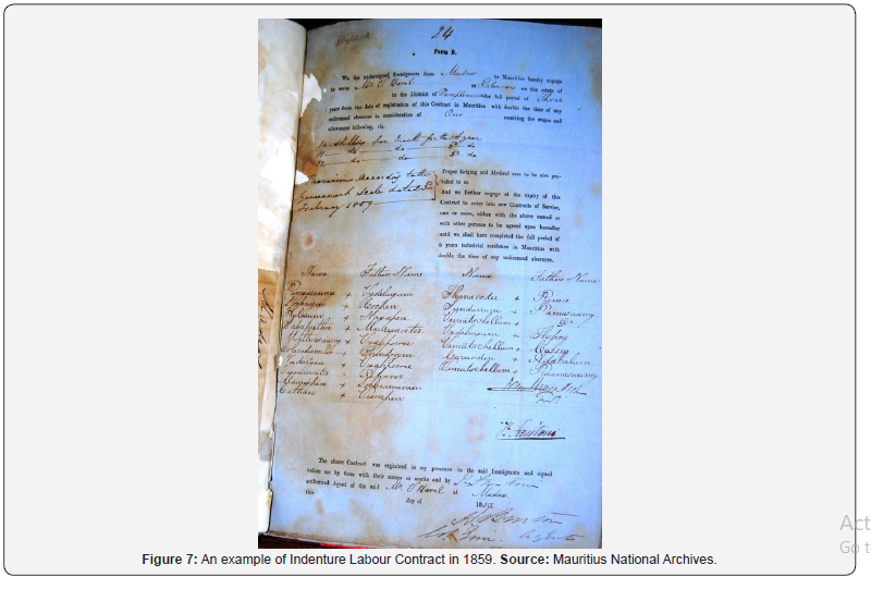 Click here to view Large Figure 7