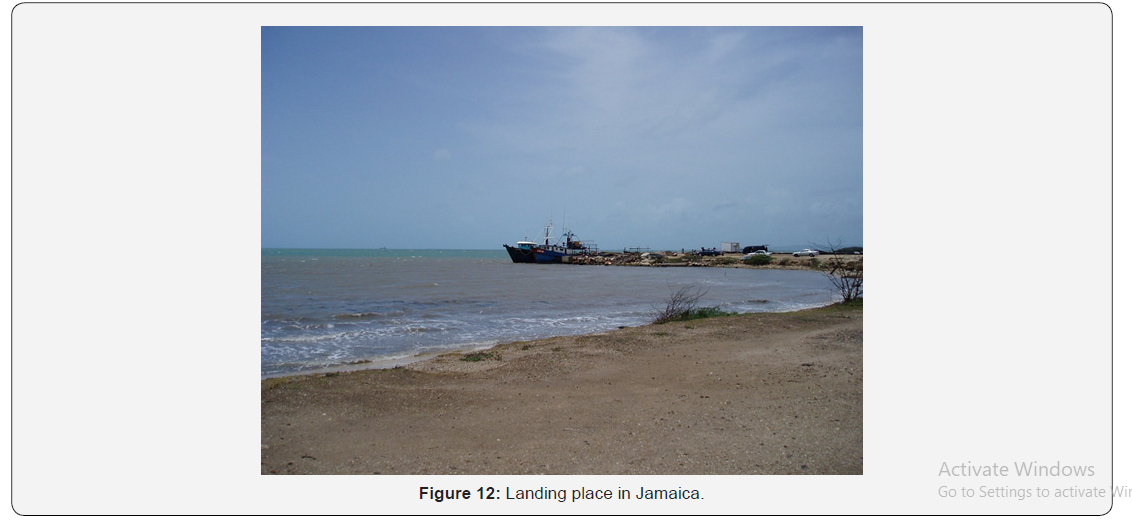 Click here to view Large Figure 12