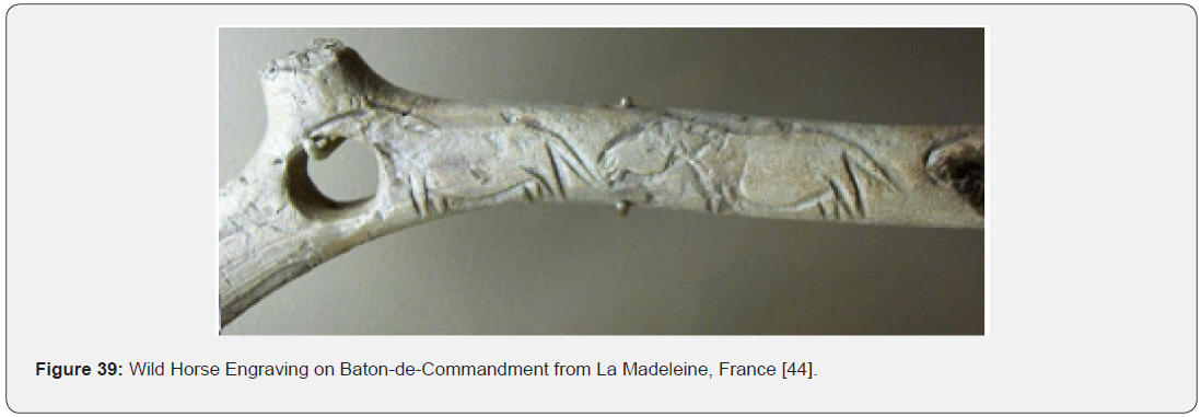 Click here to view Large Figure 39