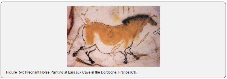 Click here to view Large Figure 54