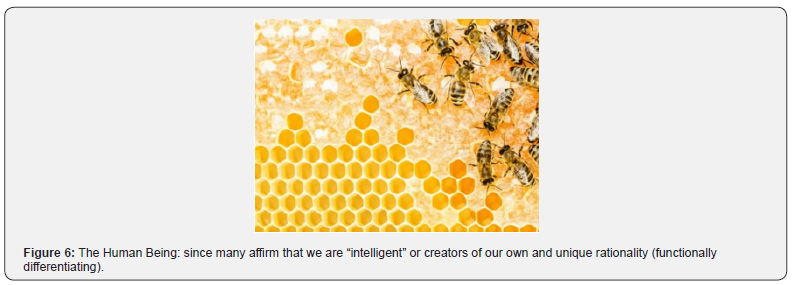 Click here to view Large Figure 6