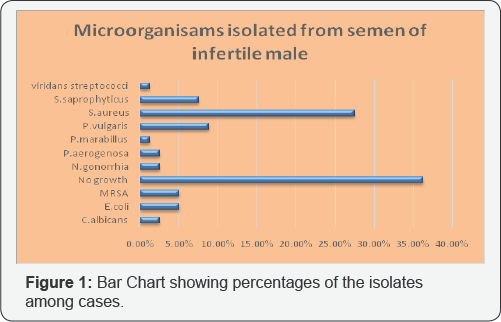 Click here to view Large Figure 1