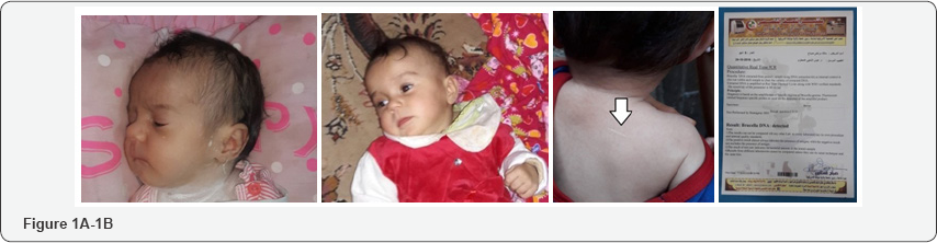 Click here to view Large Figure 1