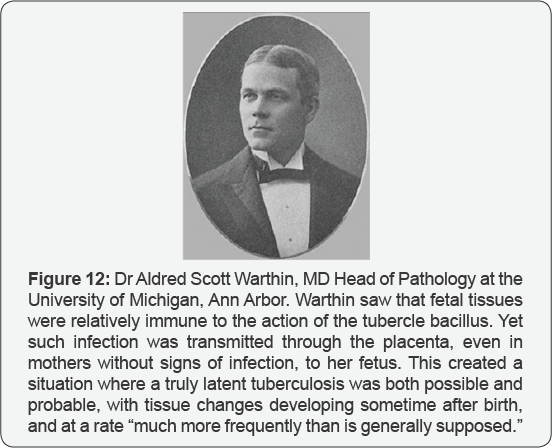 Click here to view Large Figure 12