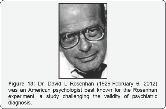 Click here to view Large Figure 13