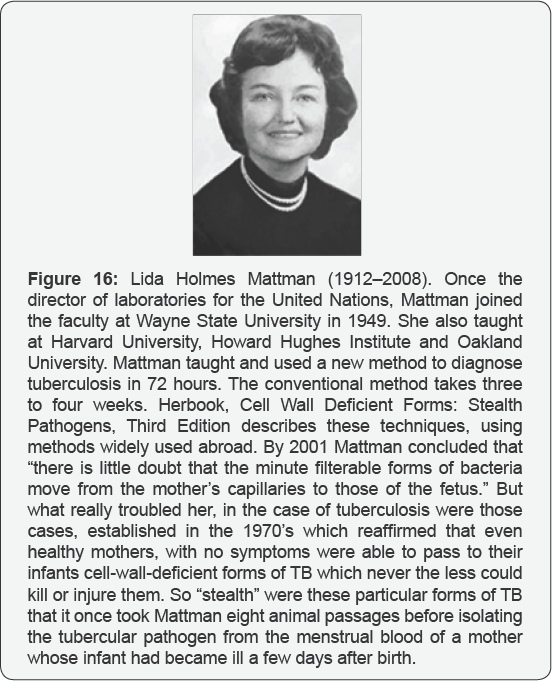 Click here to view Large Figure 16