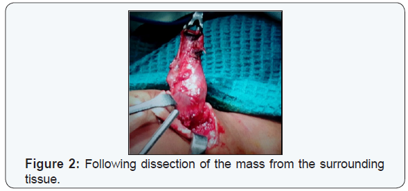 Click here to view Large Figure 2