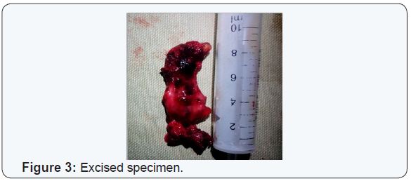 Click here to view Large Figure 3