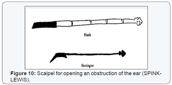 Click here to view Large Figure 10