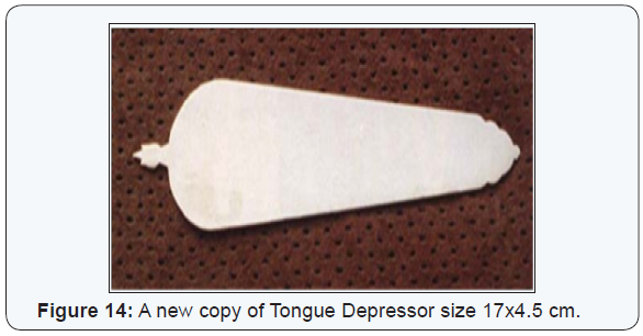 Click here to view Large Figure 14