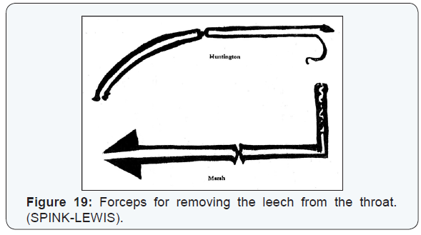 Click here to view Large Figure 19