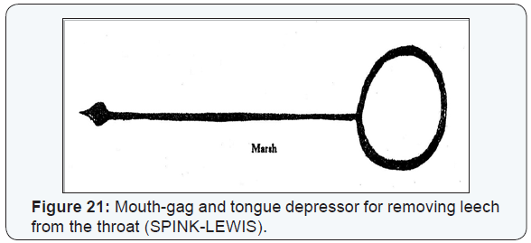 Click here to view Large Figure 21
