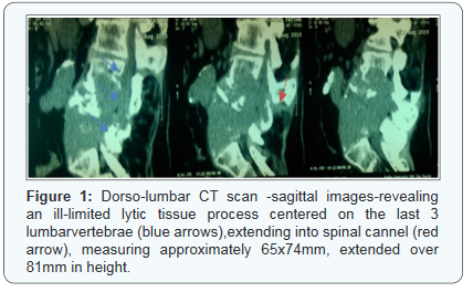 Click here to view Large Figure 1