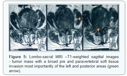 Click here to view Large Figure 5